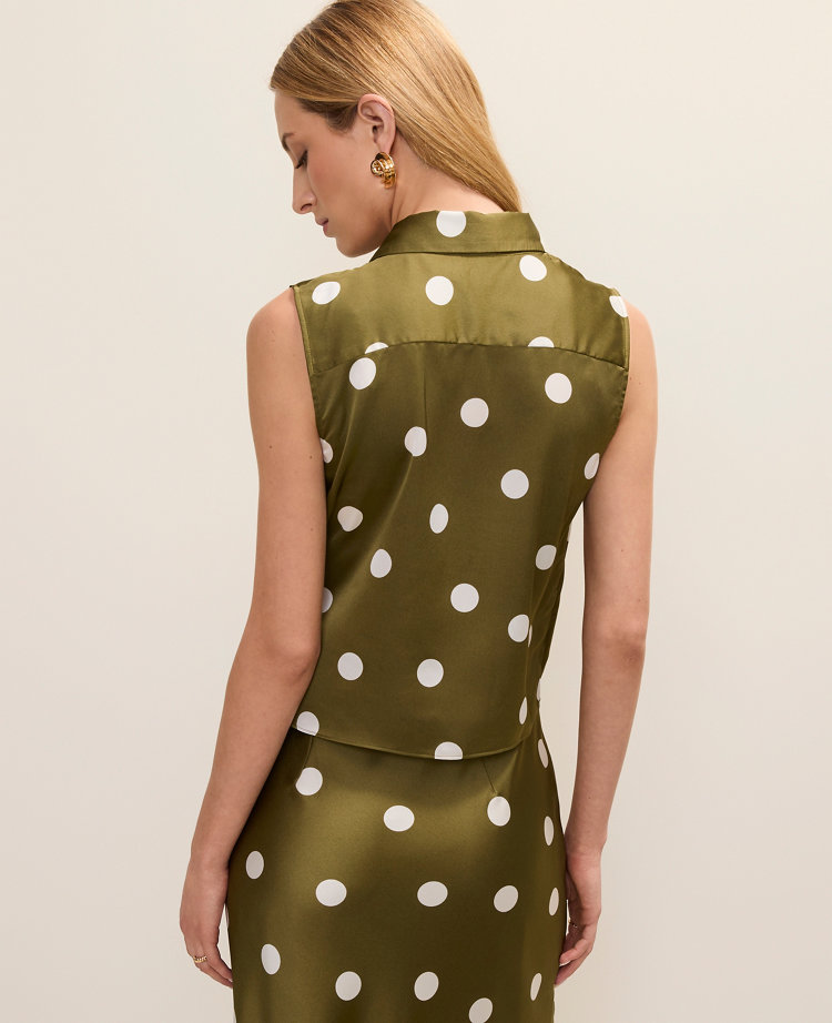 Petite Dotted Tie Waist Blouse carousel Product Image 2
