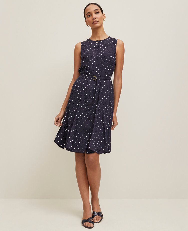 Dotted Belted Flare Dress