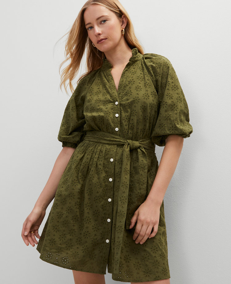 Eyelet Ruffle Neck Flare Dress