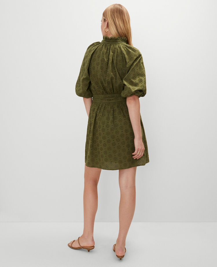 Eyelet Ruffle Neck Flare Dress