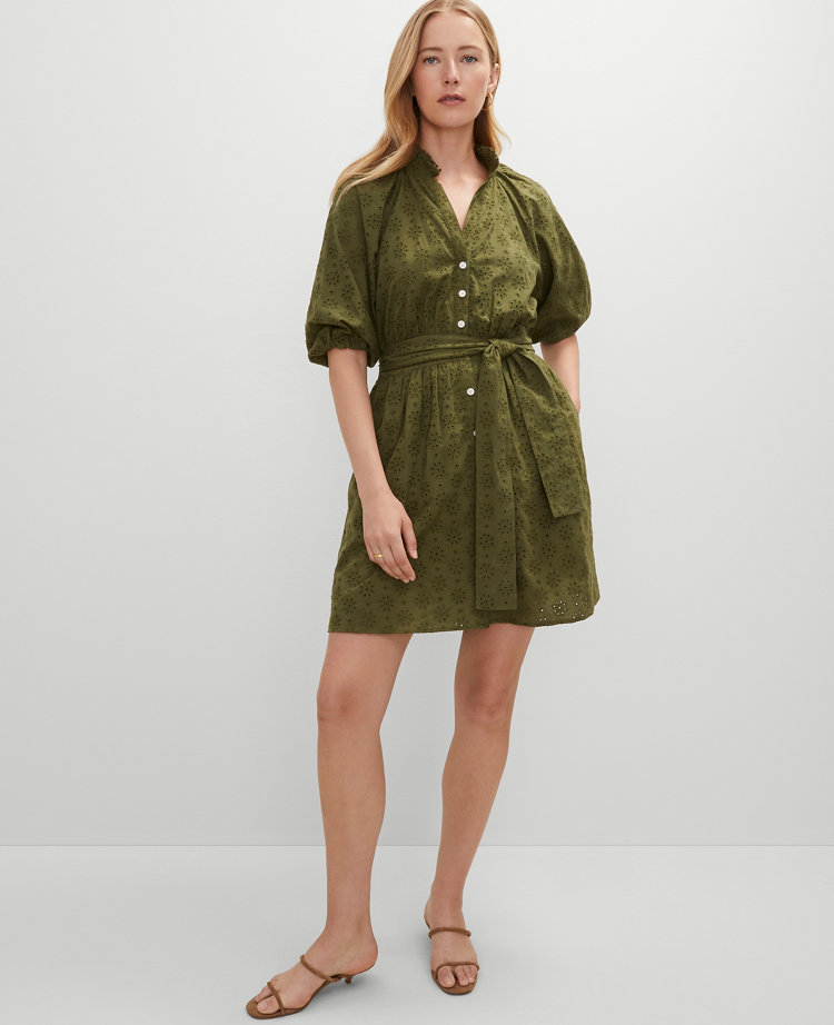 Eyelet Ruffle Neck Flare Dress