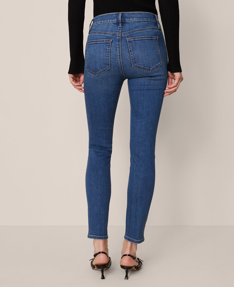 Petite Mid Rise Skinny Jeans in Classic Wash — Curvy Fit