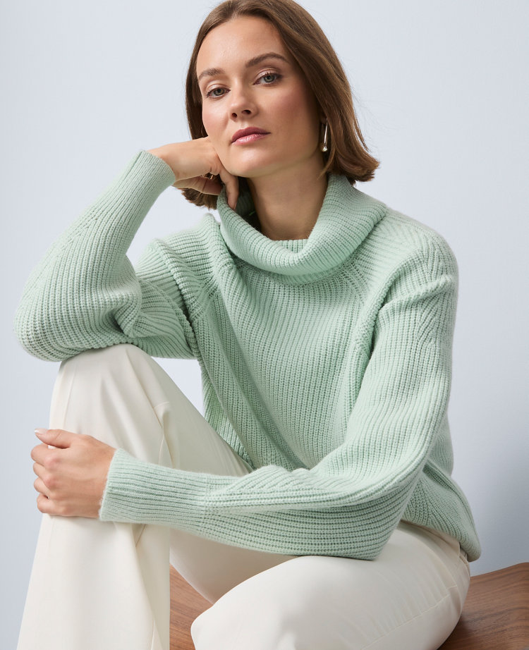 Ribbed Turtleneck Sweater