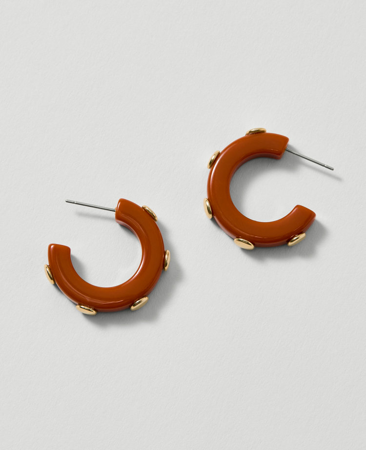 Studded Mini Hoop Earrings