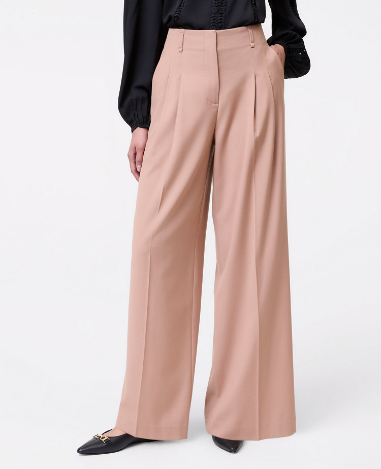 The Pleated Wide-Leg Pant