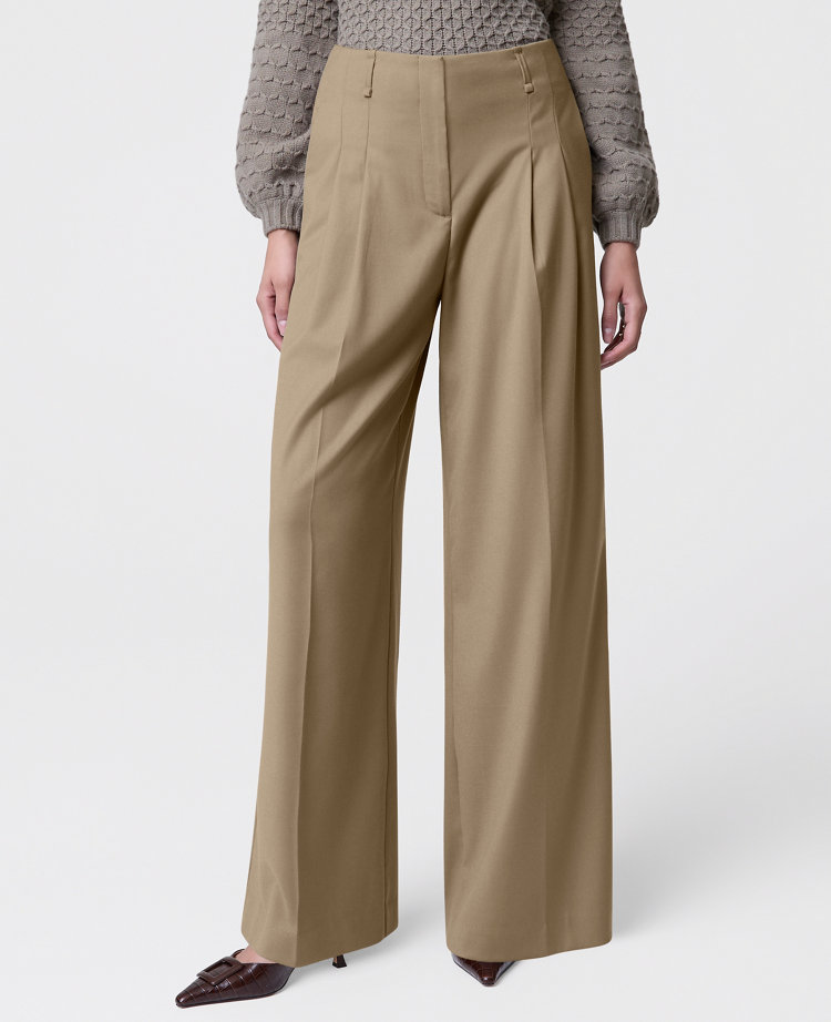 The Pleated Wide-Leg Pant