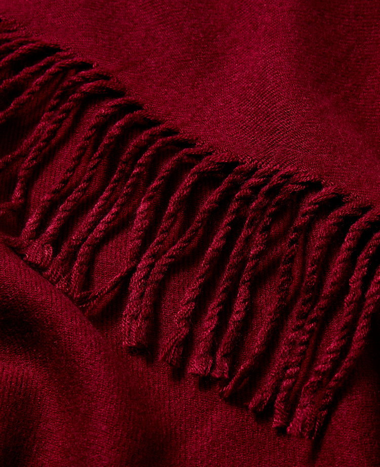 Ann Taylor Weekend Collection Fringe Scarf Women's