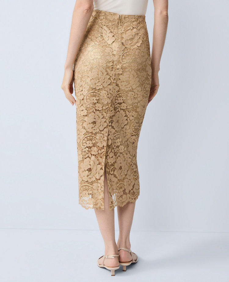 Petite Lace Column Midi Skirt