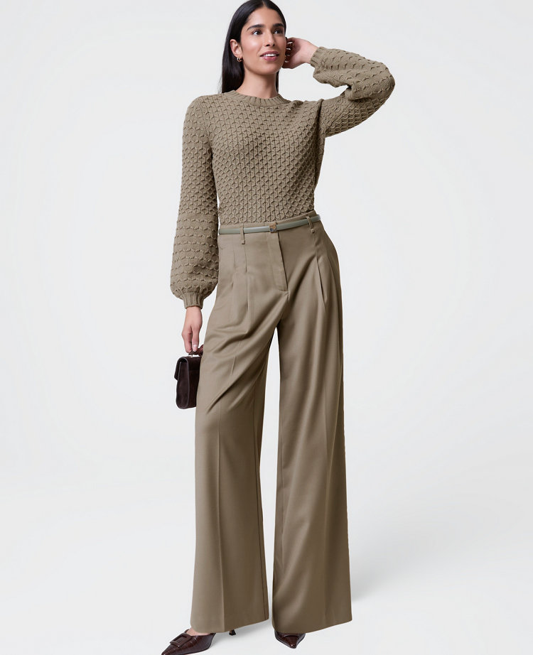 The Petite Pleated Wide-Leg Pant