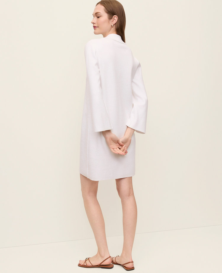Petite Collared Shift Dress