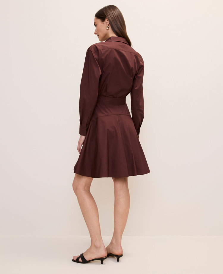 Belted Collared Shirtdress