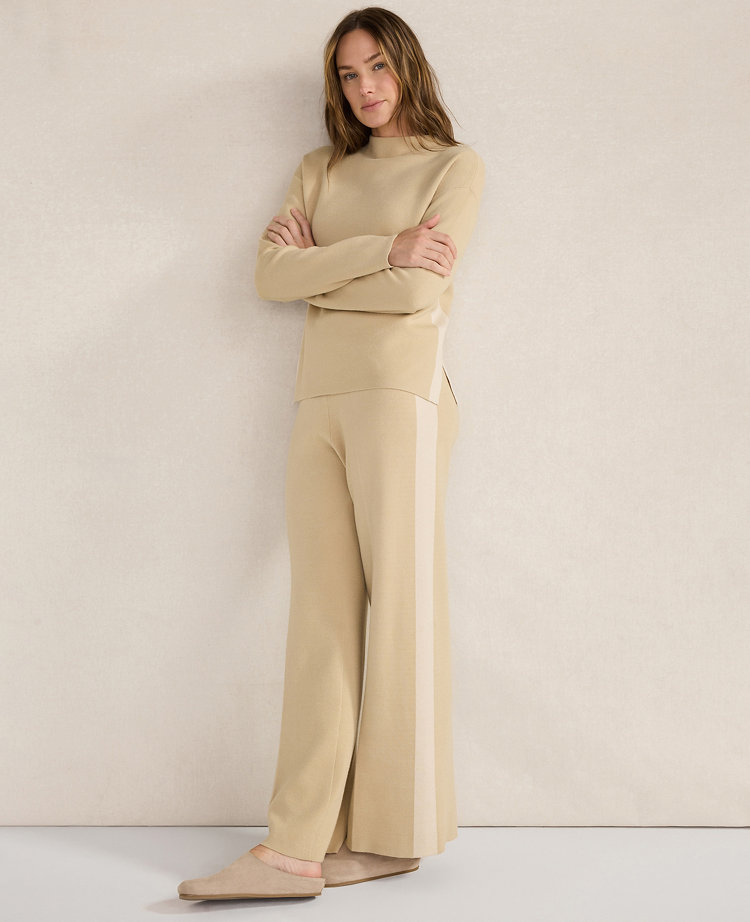 Ann Taylor Haven Well Within Tuxedo Stripe Funnel Neck Pullover In Neutral