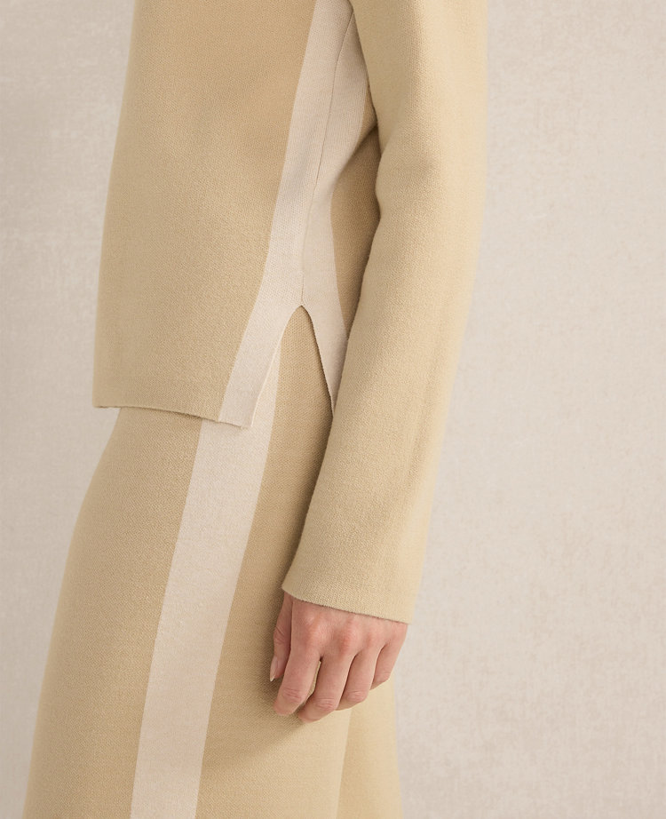 Ann Taylor Haven Well Within Tuxedo Stripe Funnel Neck Pullover In Neutral