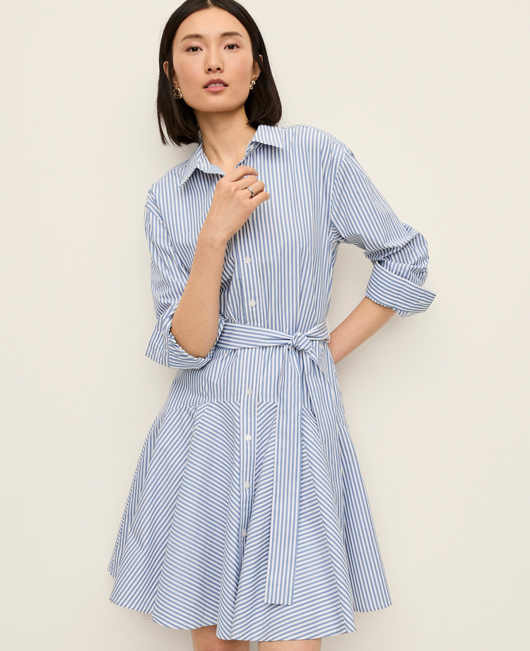 Mini Striped Shirtdress