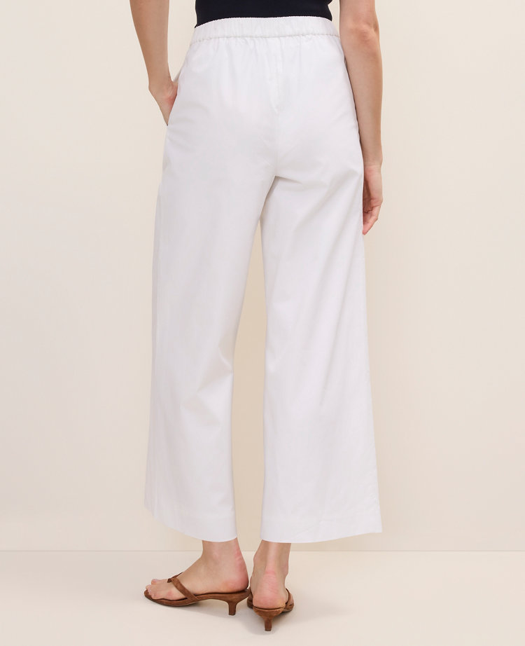 Petite Easy Fit Pleated Ankle Pant