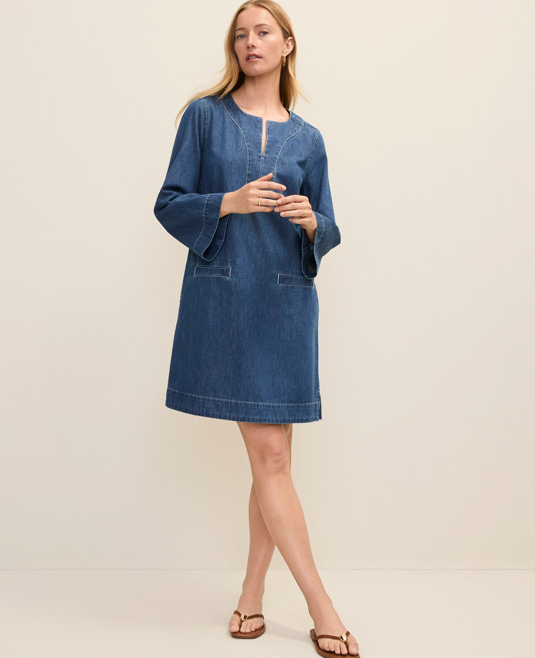 Petite Weekend Split Collar Shift Dress