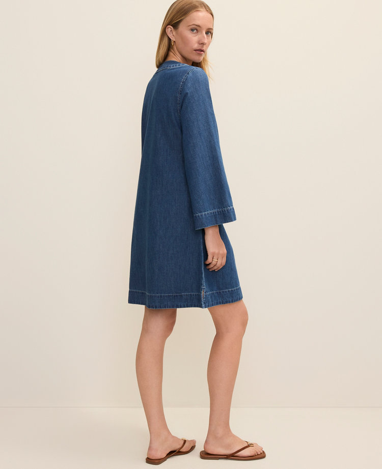 Petite Weekend Split Collar Shift Dress