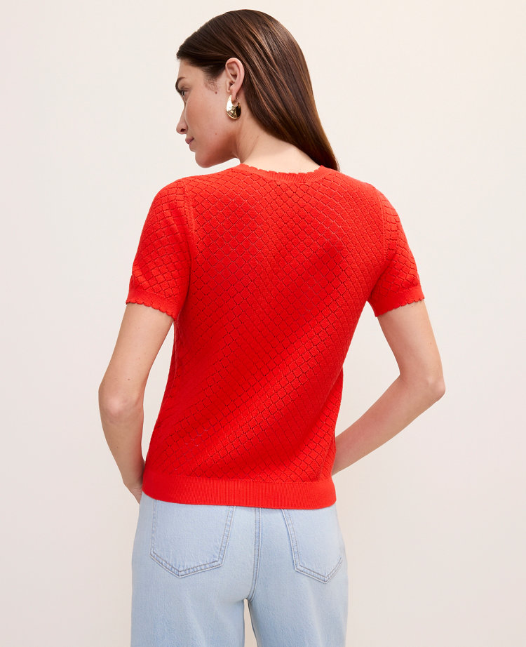 Petite Pointelle Modern Sweater Tee
