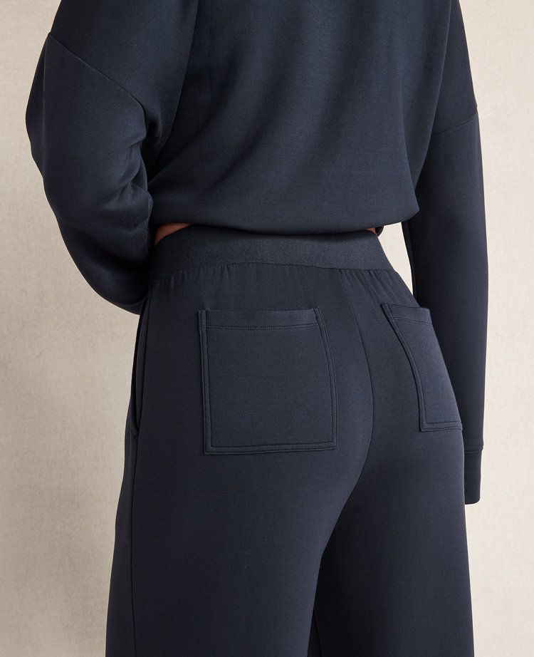 Haven Well Within Soft Knit Wide Leg Pleated Pants