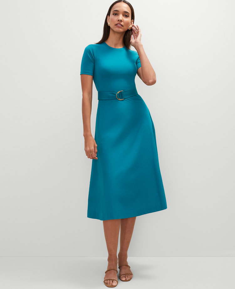 Petite Mixed Media Flare Midi Dress