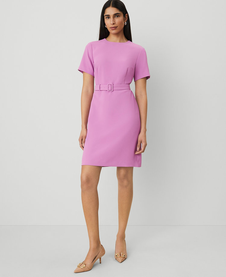 Ann Taylor Belted Sheath Dress Orchid Glow Women's