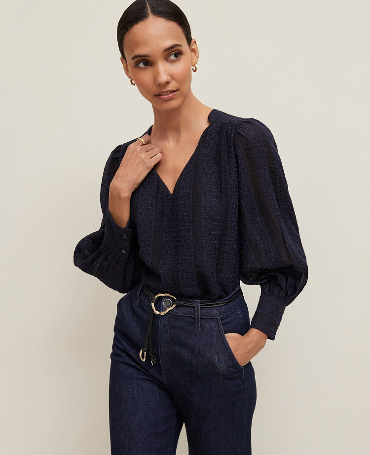 Petite Embroidered V-Neck Popover