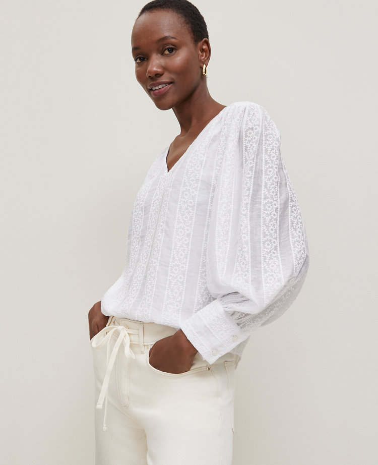 Petite Embroidered V-Neck Popover