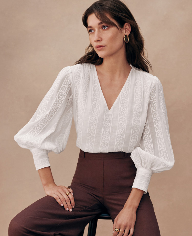 Petite Embroidered V-Neck Popover