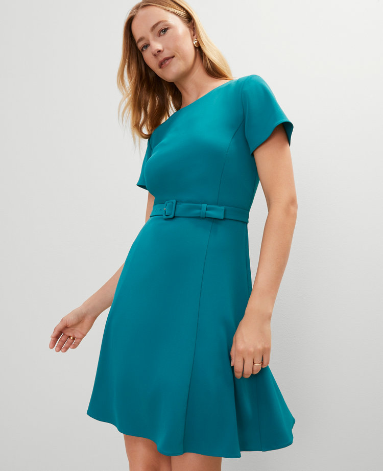 Crew Neck Belted Flare Dress