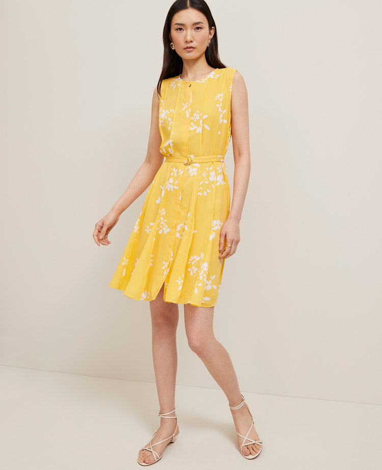 Petite Floral Belted Flare Dress