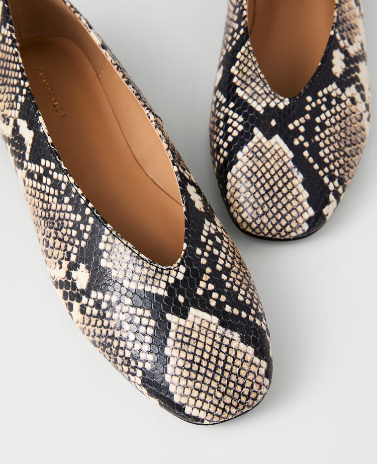 Ann Taylor Snake Ballet Flat In Black