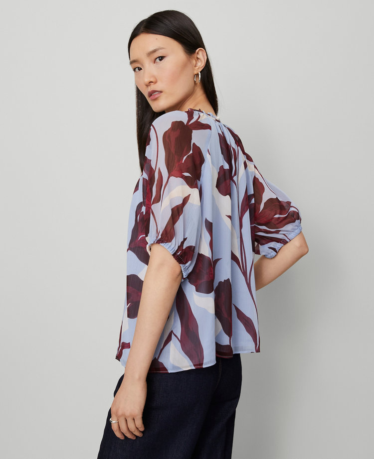 Floral Pintucked Raglan Popover