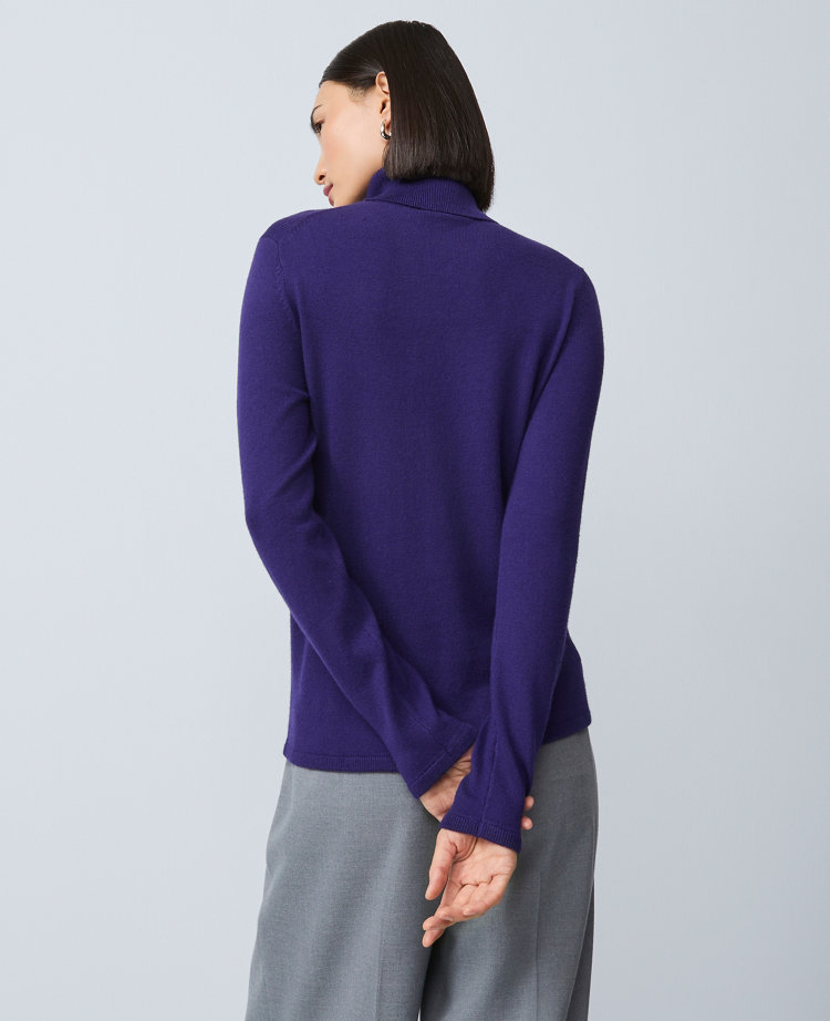 Essential Turtleneck Sweater