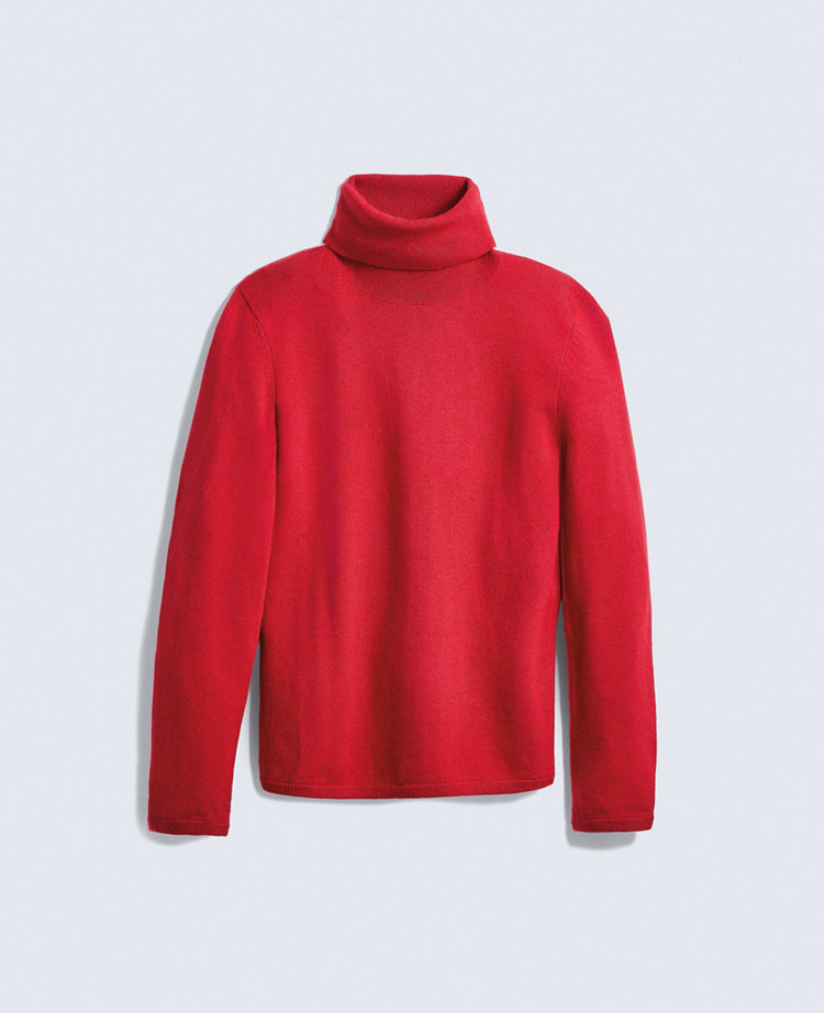 Essential Turtleneck Sweater