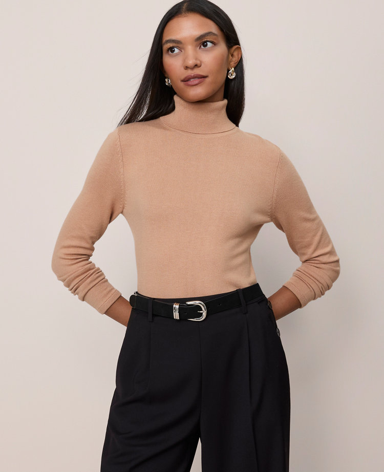 Ann Taylor Essential Turtleneck Sweater In Brown