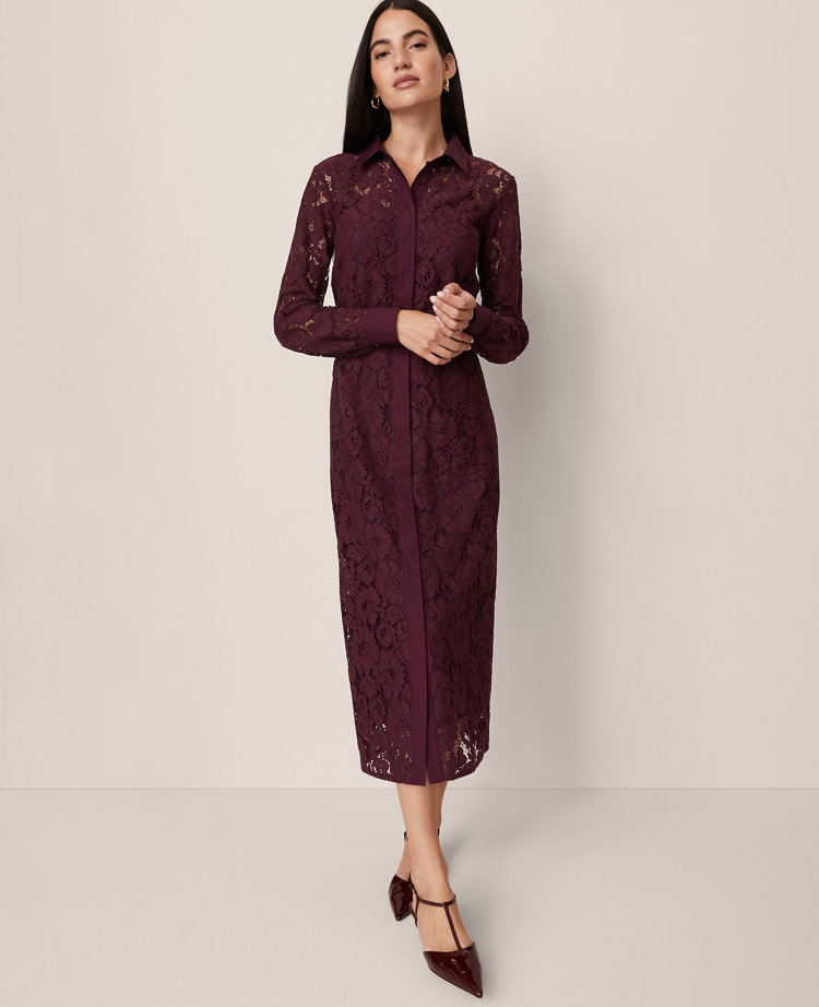 Petite Belted Lace Midi Shirtdress