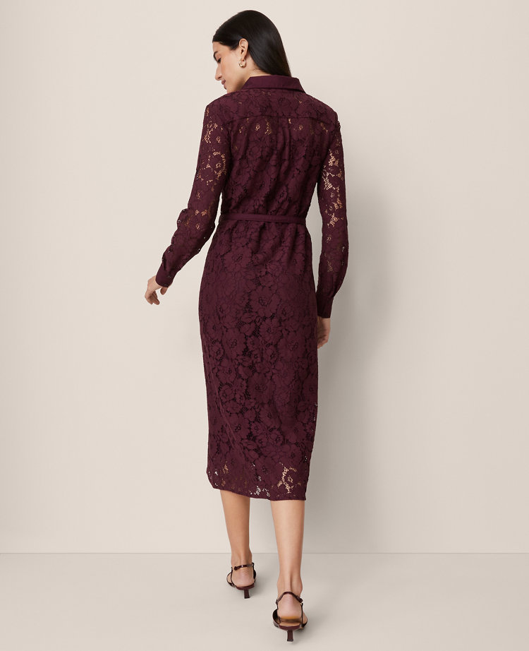Petite Belted Lace Midi Shirtdress