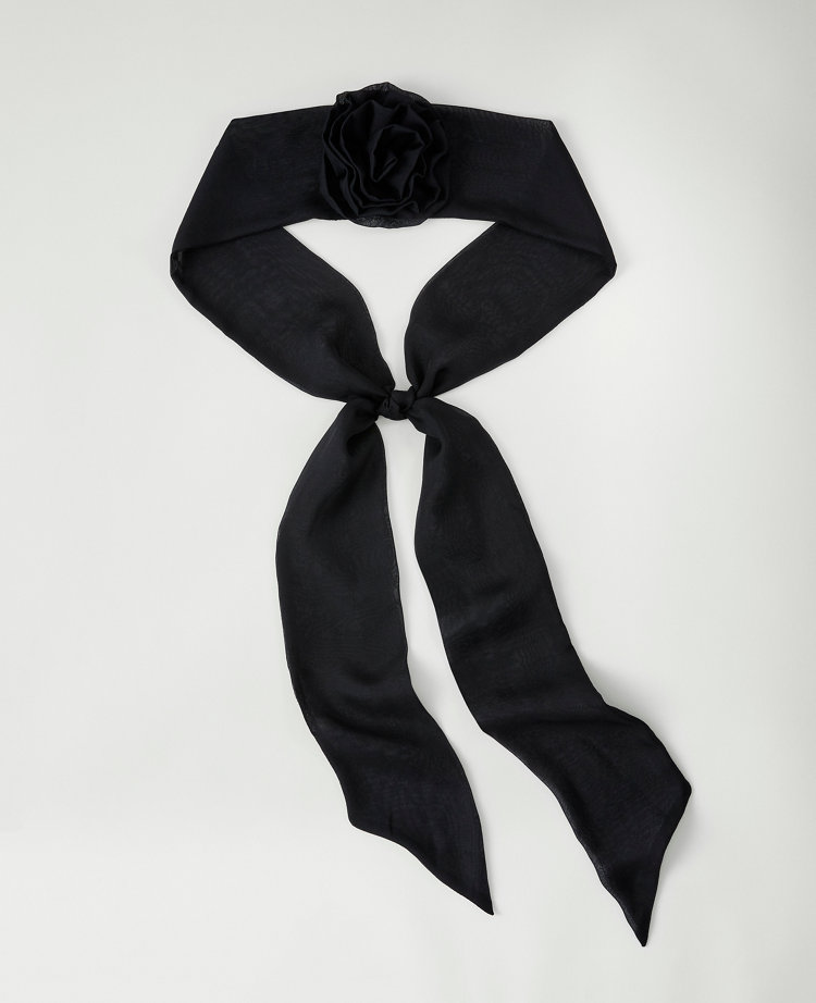 Ann Taylor Rosette Scarf In Black