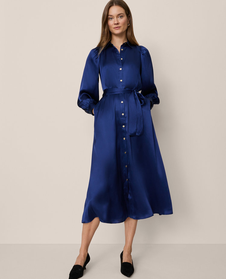 Studio Collection Silk Shirtdress