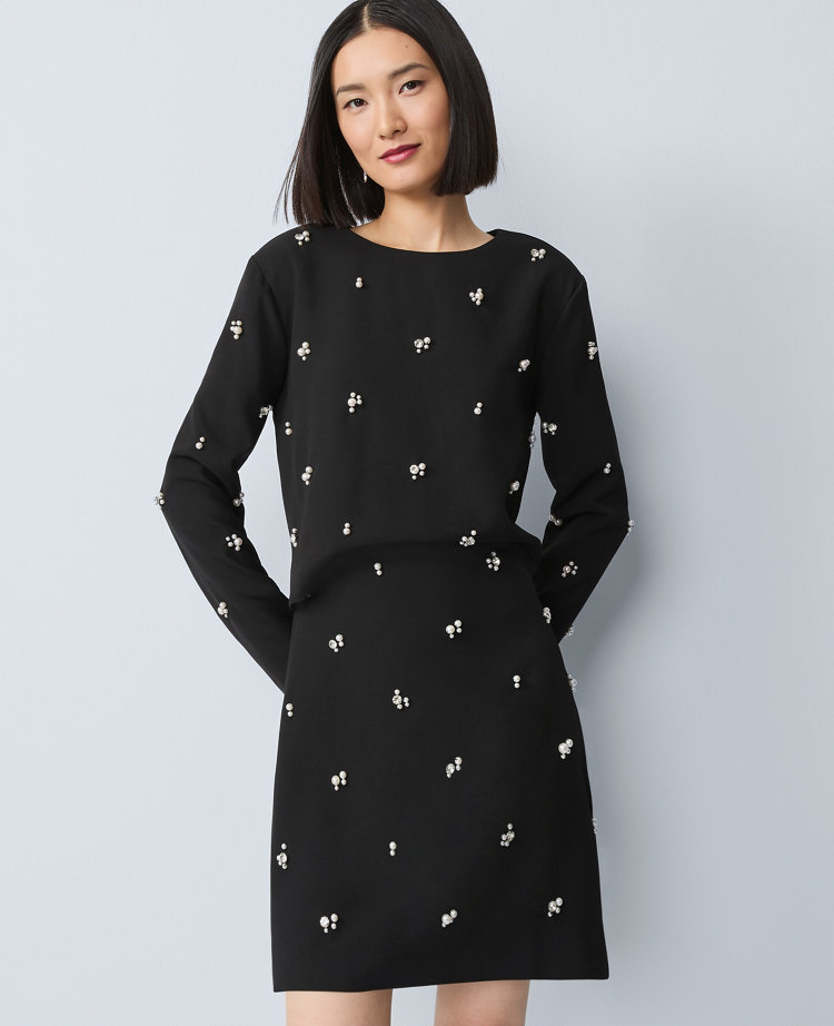 Petite Embellished A-Line Skirt