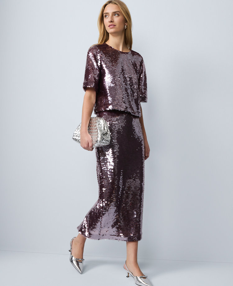 Sequin Crew Neck Blouse