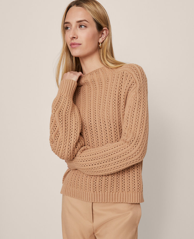 Ann Taylor Pointelle Mock Neck Sweater In Brown