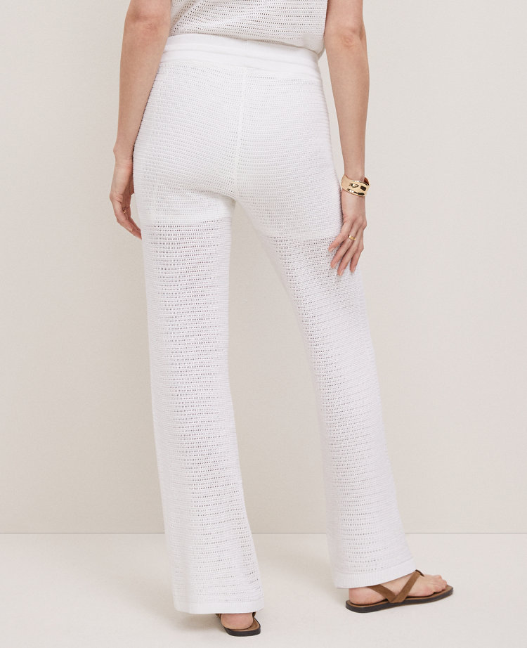 Petite Weekend Collection Mesh Sweater Pant
