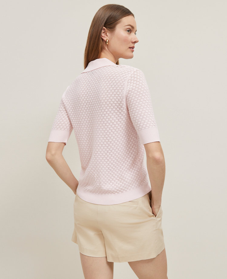 Petite Pointelle Polo Sweater - Potpourri