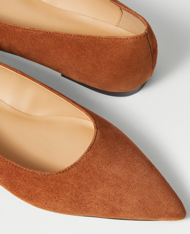 Weekend Collection Pointy Toe Suede Ballet Flats
