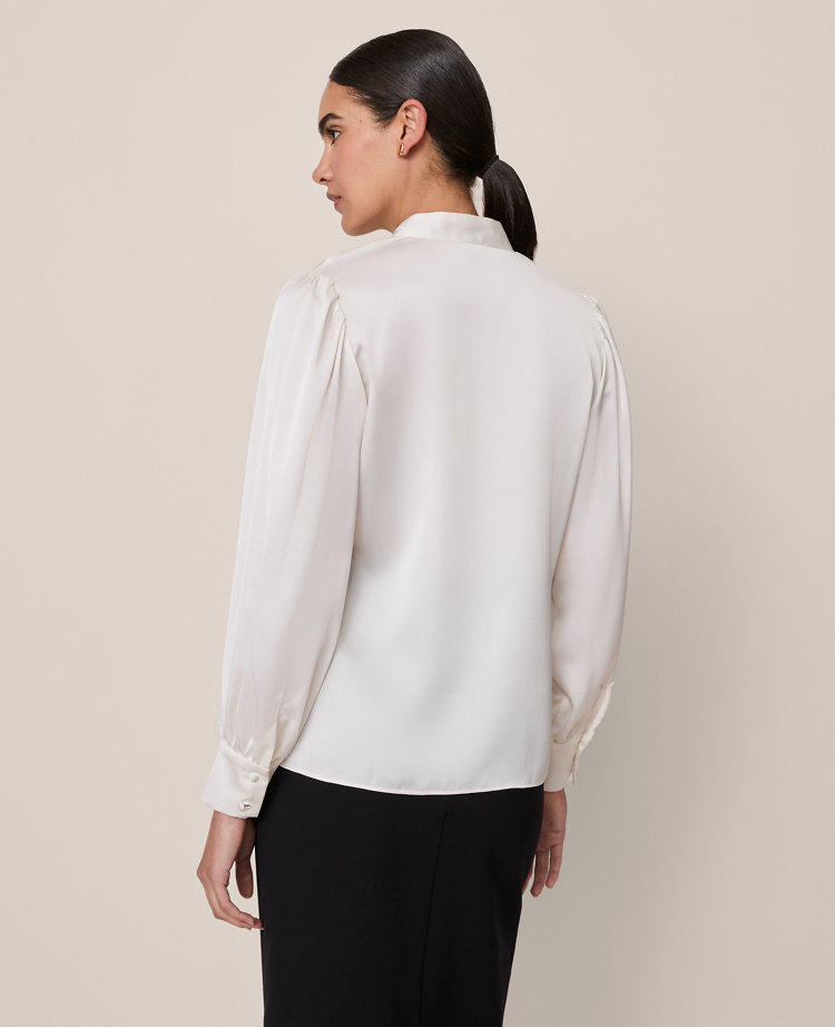 V-Neck Popover