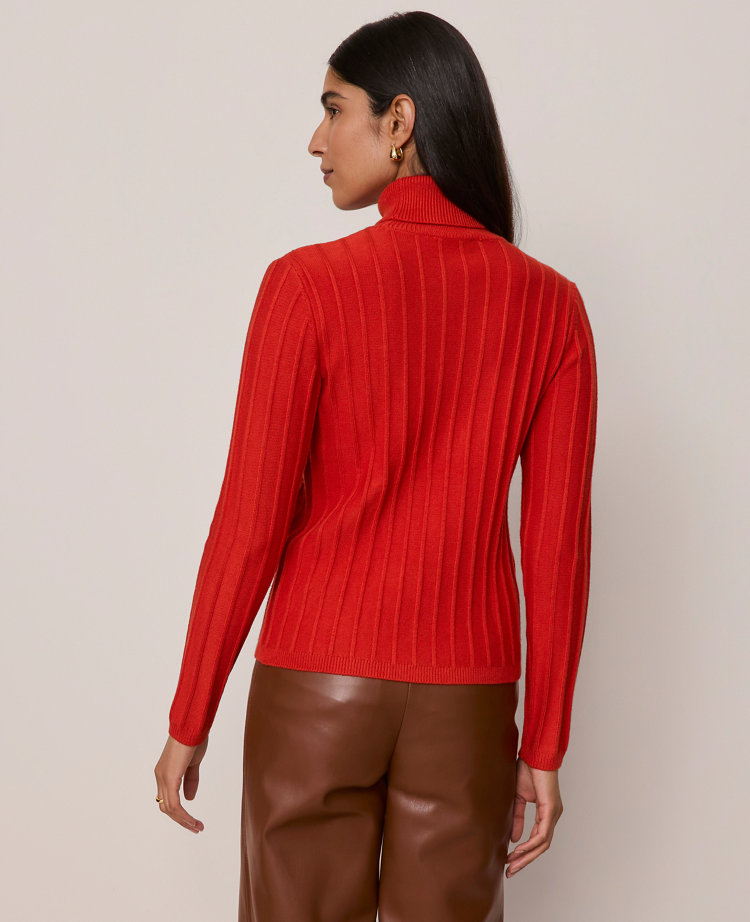 Ribbed Turtleneck Sweater