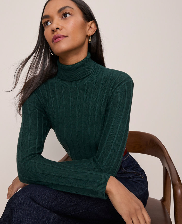Ann Taylor Ribbed Turtleneck Sweater In Green