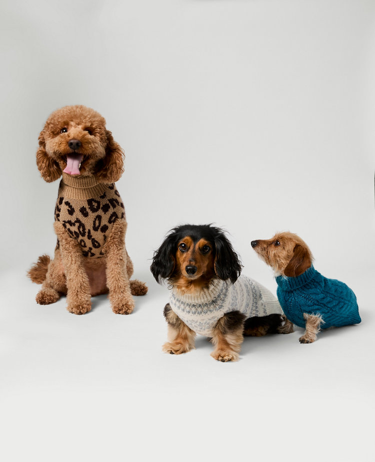 Weekend Collection Animal Print Dog Sweater