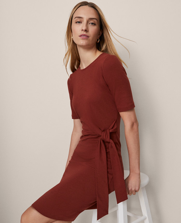 Petite Weekend Collection Tie Waist Shift Dress